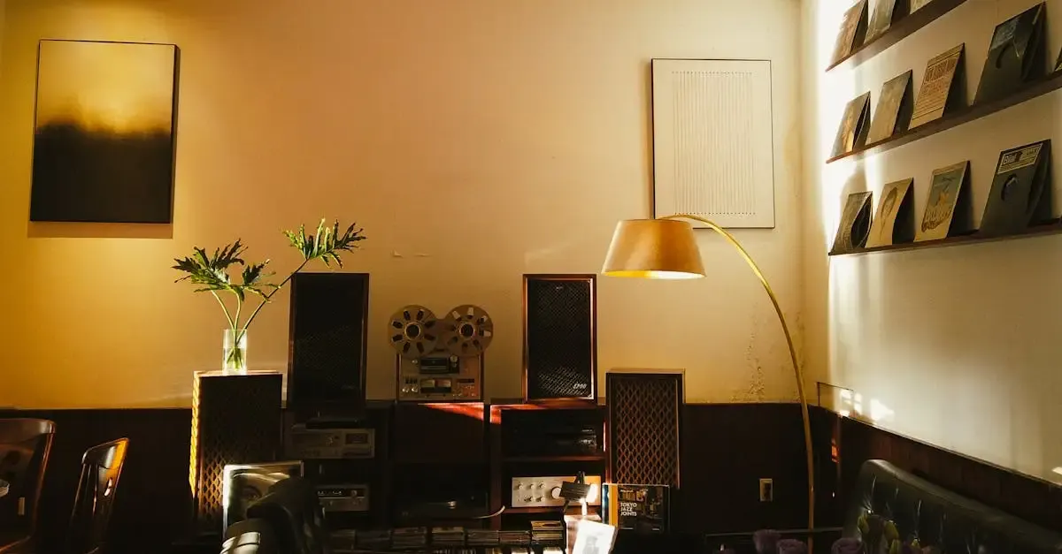 Bang et olufsen audio