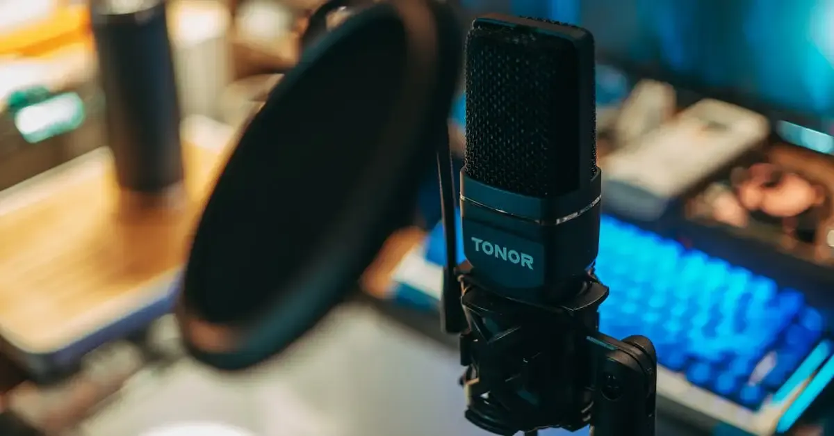 Capture et enregistrement de flux audio en streaming